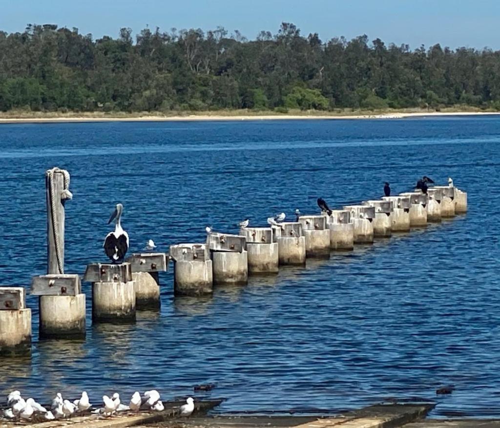 Sandbar Motel Lakes Entrance Bagian luar foto